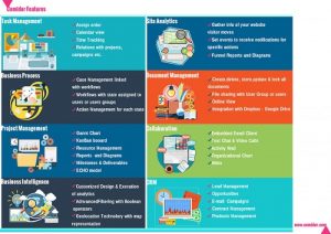 Business Features Infographic