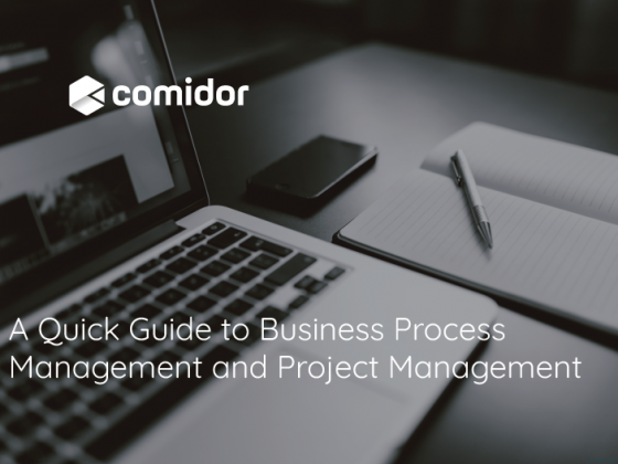 A Quick Guide to Business Process Management and Project Management